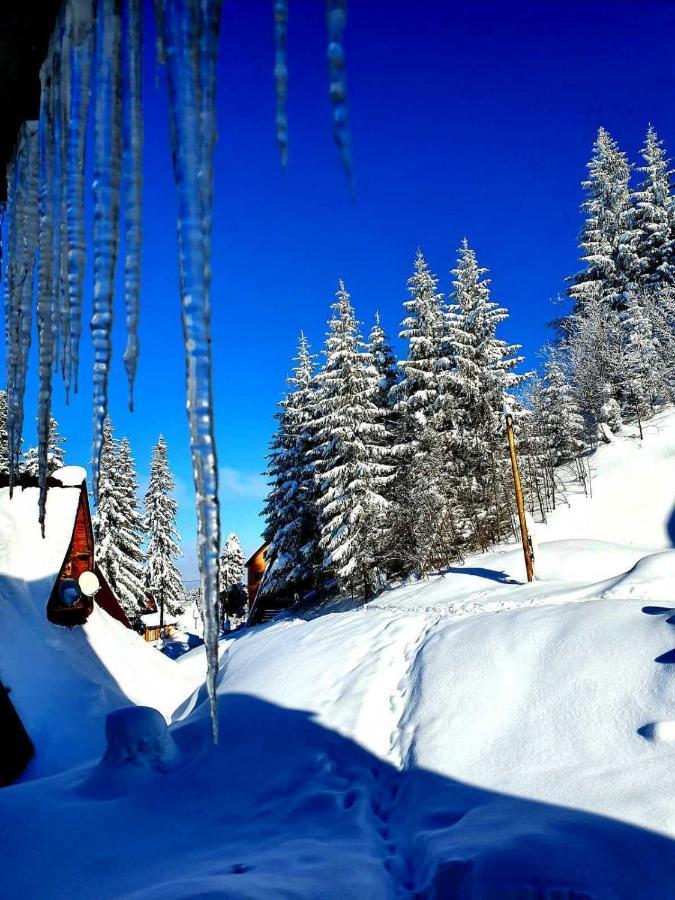 شقة Jahorina 7Lux المظهر الخارجي الصورة
